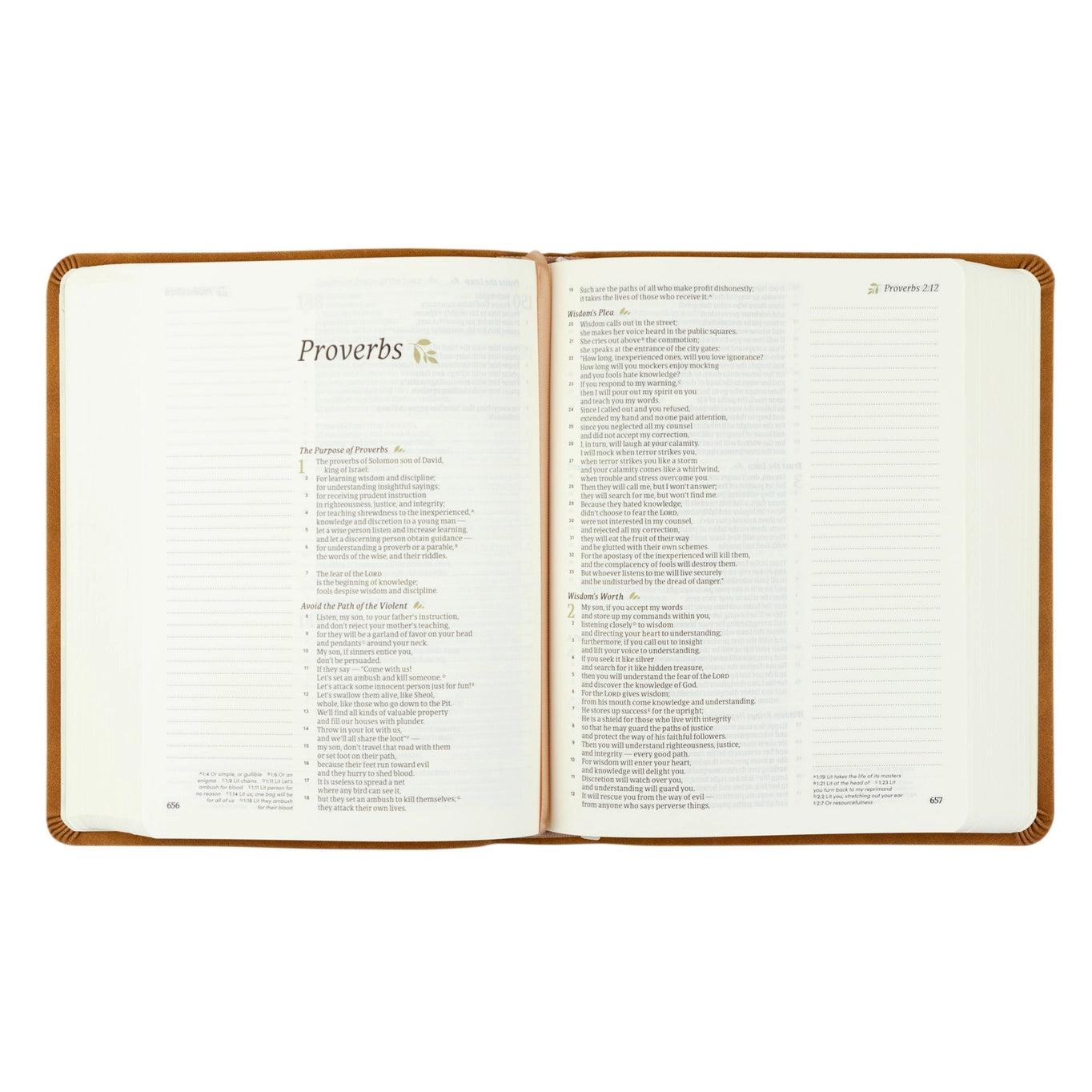 Hosana Revival Csb Notetaking Bible : Amelia Theme