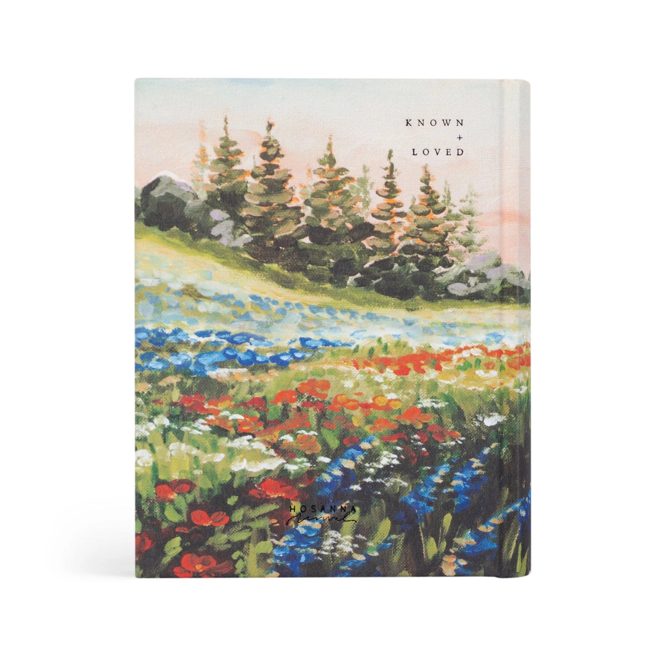 Hosanna Revival NLT Notetaking Bible - Coram Theme