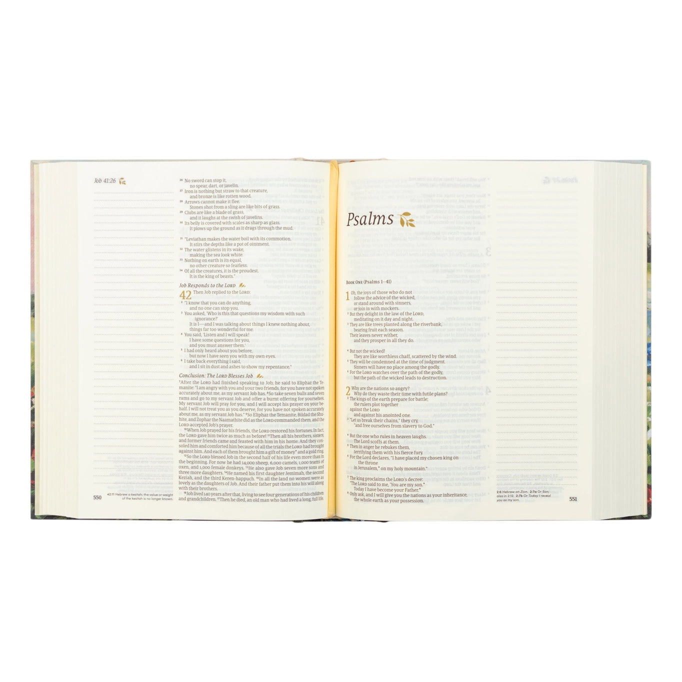 Hosanna Revival NLT Notetaking Bible - Coram Theme
